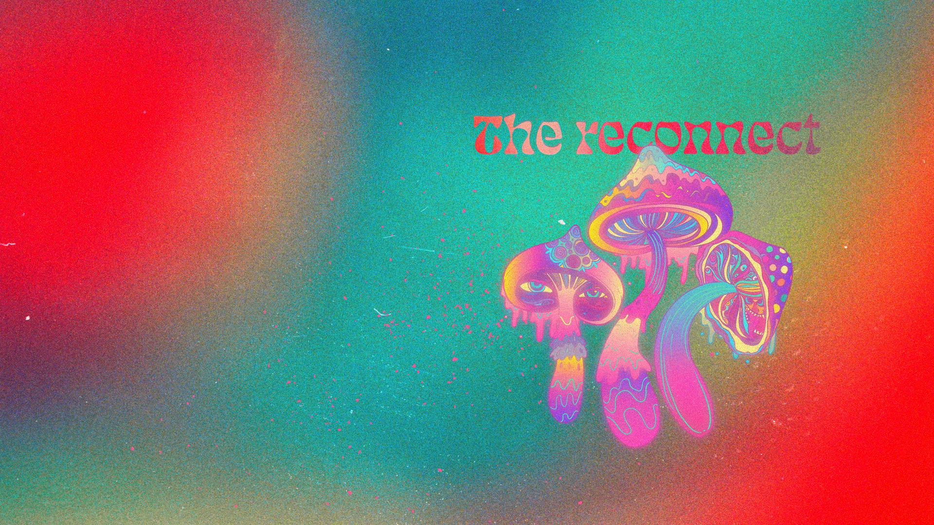 The Reconnect. Hosted by Indigo.