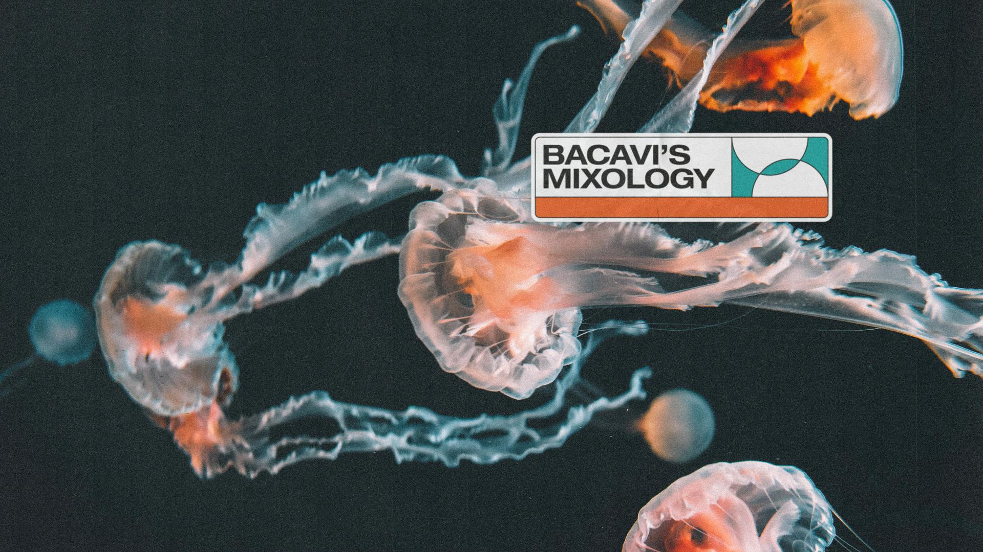 Bacavi's Mixology. Hosted by Bacavi.