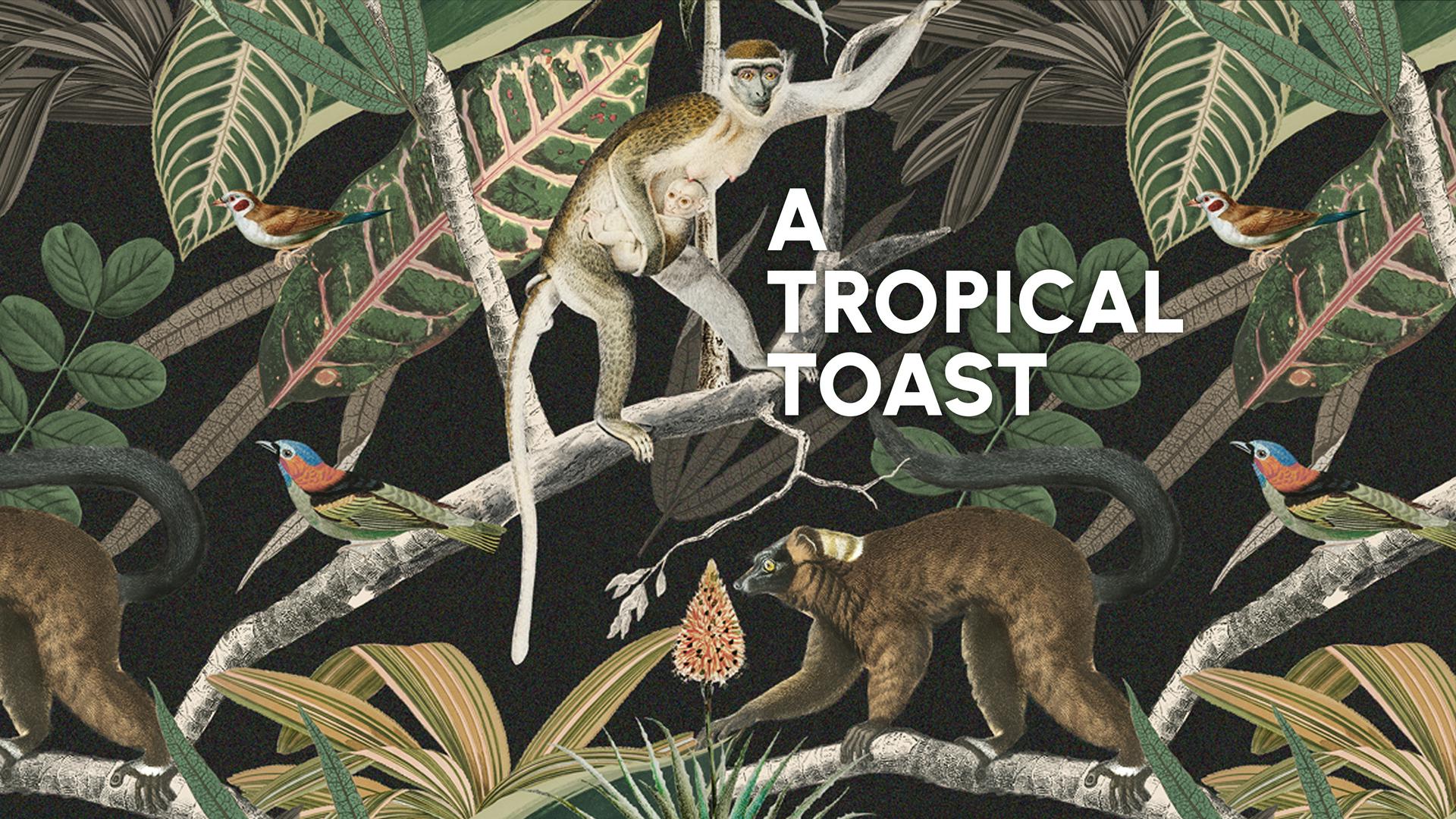 A Tropical Toast. Hosted by Shallwe.